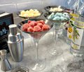 Botanical Cocktail Cube Kit | Garden-to-Glass Mixology Gift Set
